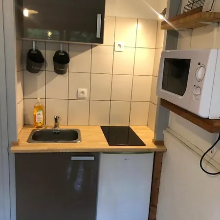 Appartement Studio Avec Petit Jardin Et Terrasse Vue Mont-blanc *